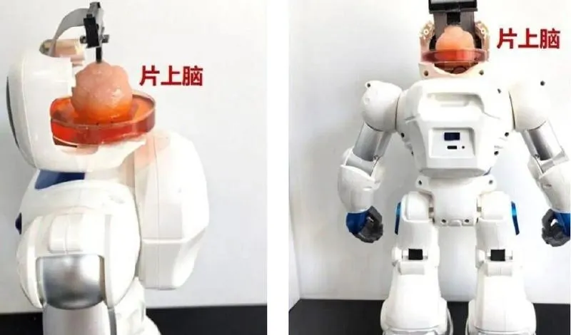 Praktyczne umiejętności technologiczne